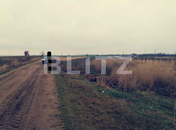 Teren de vânzare Carcea  - 83825TV | BLITZ Craiova | Poza1