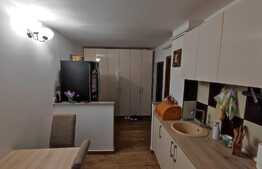 Apartament de 2 camere, decomandat, 49 mp, Brazda lui Novac