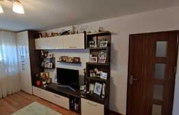 Apartament de 2 camere, decomandat, 49 mp, Brazda lui Novac