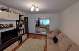 Apartament de 2 camere, decomandat, 49 mp, Brazda lui Novac