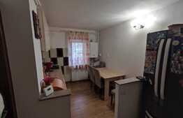 Apartament de 2 camere, decomandat, 49 mp, Brazda lui Novac