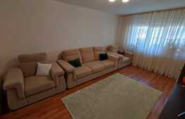 Apartament de 2 camere, decomandat, 49 mp, Brazda lui Novac