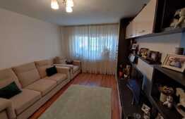 Apartament de 2 camere, decomandat, 49 mp, Brazda lui Novac