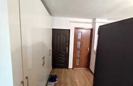 Apartament de 2 camere, decomandat, 49 mp, Brazda lui Novac