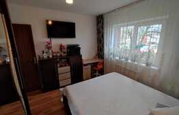 Apartament de 2 camere, decomandat, 49 mp, Brazda lui Novac