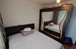 Apartament de 2 camere, decomandat, 49 mp, Brazda lui Novac