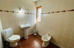 Casă pretabilă ca și spațiu comercial in Rovine