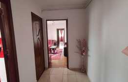 Apartament de 2 camere, 54 mp, centrala termica, Brazda lui Novac
