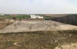 Teren intravilan de 520 mp, 19 ml front, Malu Mare!