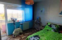 Apartament de 3 camere, etaj intermediar, zona Gradina Botanica