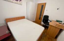 Apartament 3 camere, centrala termica, pet friendly, Valea Rosie