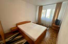 Apartament 3 camere, centrala termica, pet friendly, Valea Rosie