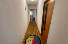 Apartament 3 camere, centrala termica, pet friendly, Valea Rosie