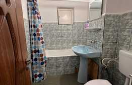 Apartament de 2 camere decomandat, zona Brazda