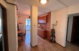 Apartament de 2 camere decomandat, zona Brazda