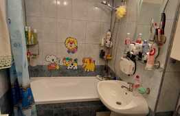 Apartament de 2 camere, etaj intermediar, Brazda lui Novac