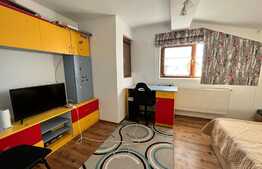 REDUCERE! Casă cu flori P + M, 144 mp utili, 450 mp teren, zona Metro