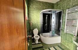 REDUCERE! Casă cu flori P + M, 144 mp utili, 450 mp teren, zona Metro