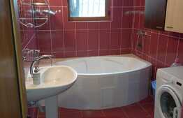 REDUCERE! Casă cu flori P + M, 144 mp utili, 450 mp teren, zona Metro