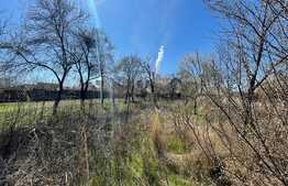 Teren intravilan 2900 mp, Bariera Valcii