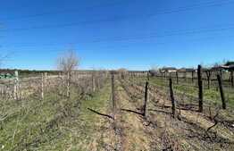 Teren intravilan 2900 mp, Bariera Valcii