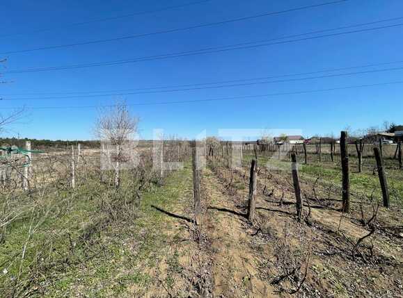 Teren de vânzare Bariera Valcii - 84443TV | BLITZ Craiova | Poza2