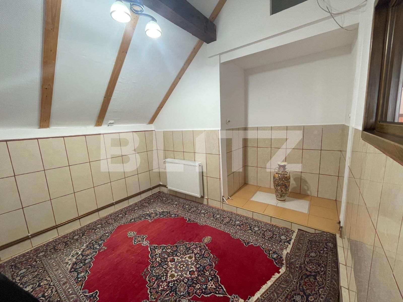 Casa de vânzare 7 camere Bariera Valcii - 84472CV | BLITZ Craiova | Poza13