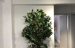 Apartament de lux, 3 camere, decomandat, zona centrala