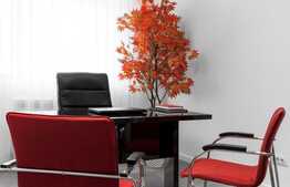 Apartament de lux, 3 camere, decomandat, zona centrala