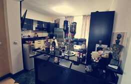 2 duplexuri de lux, 1100 mp, curte si piscina, Bariera Valcii