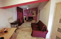 2 duplexuri de lux, 1100 mp, curte si piscina, Bariera Valcii