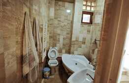 2 duplexuri de lux, 1100 mp, curte si piscina, Bariera Valcii