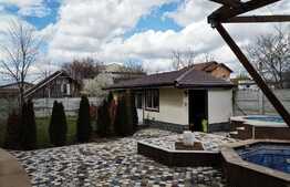 2 duplexuri de lux, 1100 mp, curte si piscina, Bariera Valcii