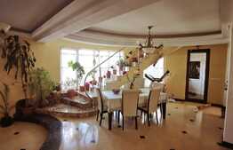 2 duplexuri de lux, 1100 mp, curte si piscina, Bariera Valcii