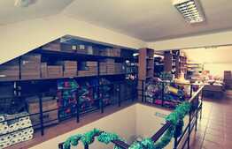 Spatiu comercial si depozit P+M, 545 mp utili si 821 mp teren, vad stradal, zona Consul!