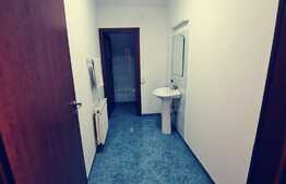 Spatiu comercial si depozit P+M, 545 mp utili si 821 mp teren, vad stradal, zona Consul!