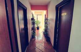 Spatiu comercial si depozit P+M, 545 mp utili si 821 mp teren, vad stradal, zona Consul!