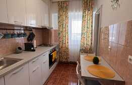 Garsoniera spatioasa de 45 mp, mobilata modern, zona Centrala