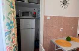 Garsoniera spatioasa de 45 mp, mobilata modern, zona Centrala