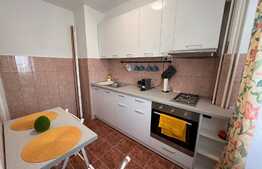 Garsoniera spatioasa de 45 mp, mobilata modern, zona Centrala