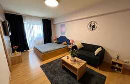 Garsoniera spatioasa de 45 mp, mobilata modern, zona Centrala