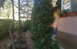 Apartament 4 camere + gradina, zona Rovine