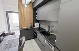 Apartament 2 camere, 2 bai, terasa 20mp, Calea Severinului