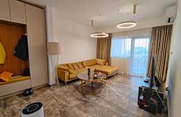 Apartament 2 camere, 2 bai, terasa 20mp, Calea Severinului