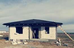 Case plan parter, 80 mp, 320 mp teren, zona Capsunarie