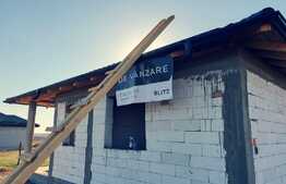 Case plan parter, 80 mp, 320 mp teren, zona Capsunarie