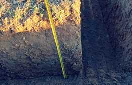 Case plan parter, 80 mp, 320 mp teren, zona Capsunarie