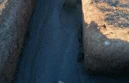 Case plan parter, 80 mp, 320 mp teren, zona Capsunarie