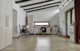 REDUCERE PREȚ! Casă D + P 119 mp utili, 450 mp teren, Ghercești