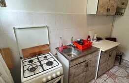 Apartament 2 camere, 54mp, pet friendly, zona Institut